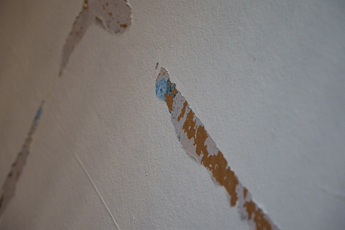 Commercial Water Damage service in Raleigh, NC